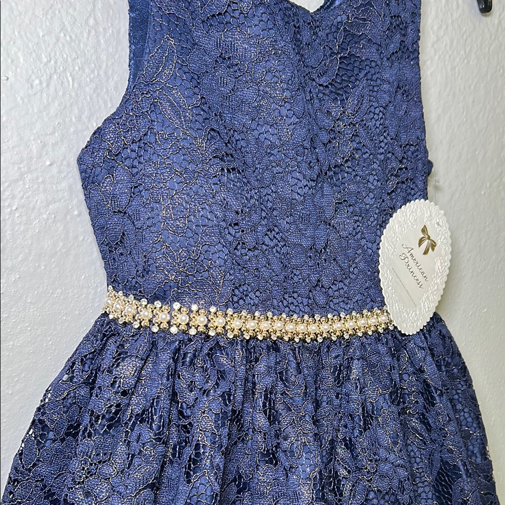 American Princess Blue Fit and Flare Sleeveless Dress for Weddings - Picture 3 of 8